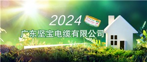 2024年線(xiàn)纜行業(yè)有哪些機會(huì )？這兩場(chǎng)會(huì )議釋放重要信號